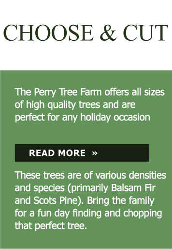 Perry Treelot Choose & Cut